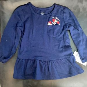 Carter’s never worn two piece set. 18 months